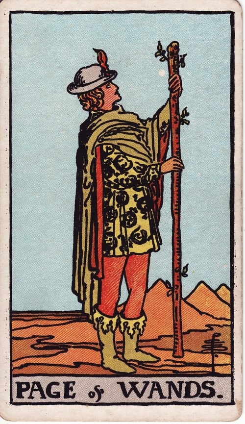 权杖侍从（Page of Wands）· rider-waite